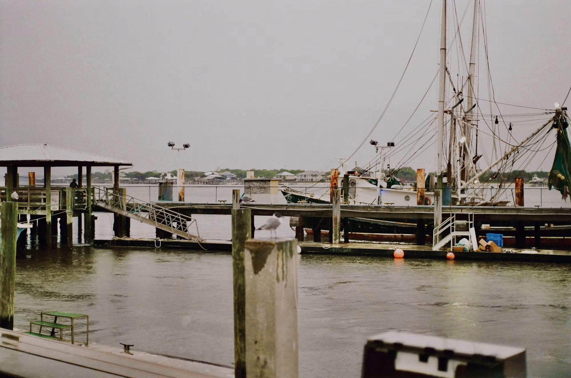 Exploring the World of Fishing: Techniques, Traditions, and Tips for Anglers