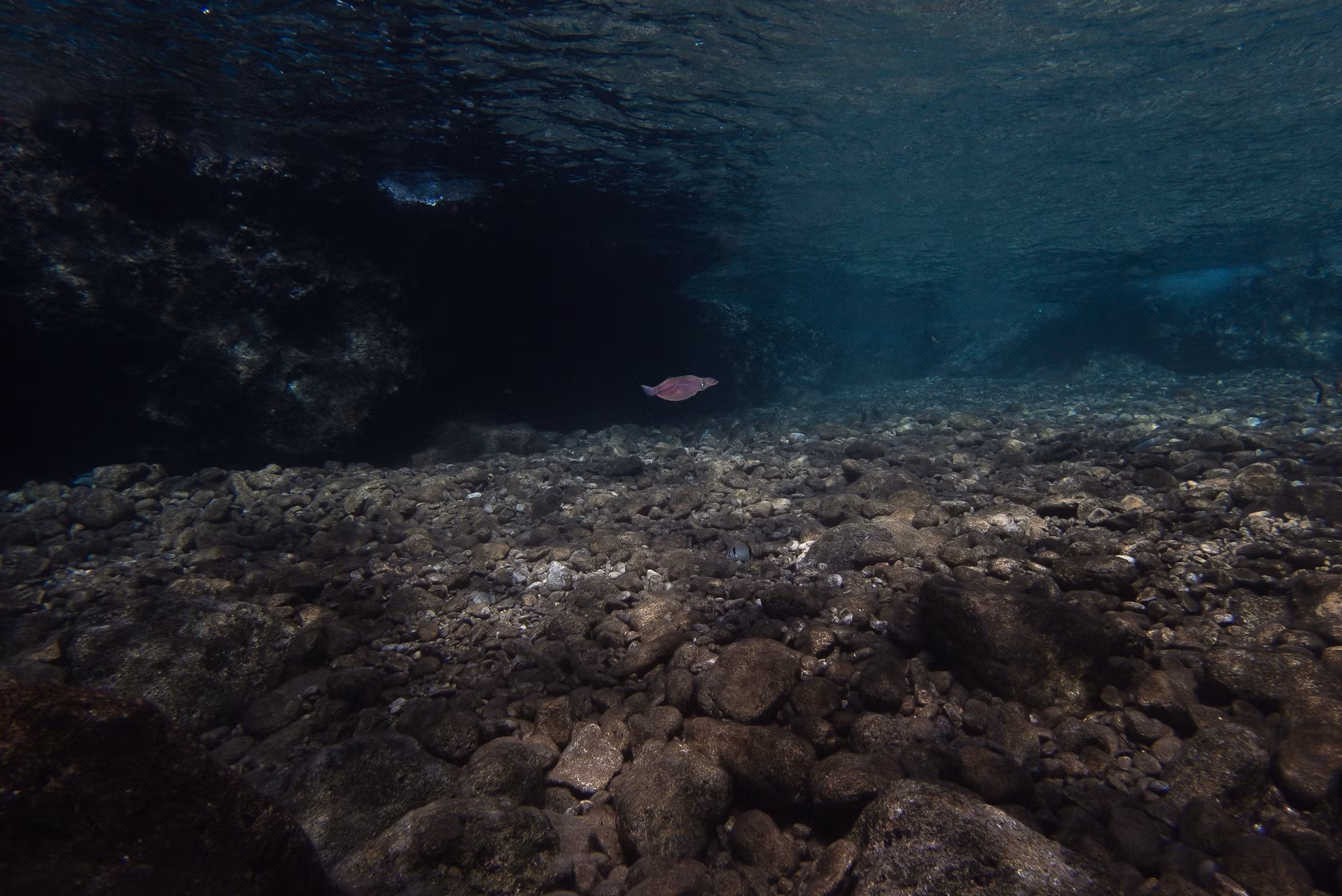 Beneath the Surface: A Journey Through Diving Adventures