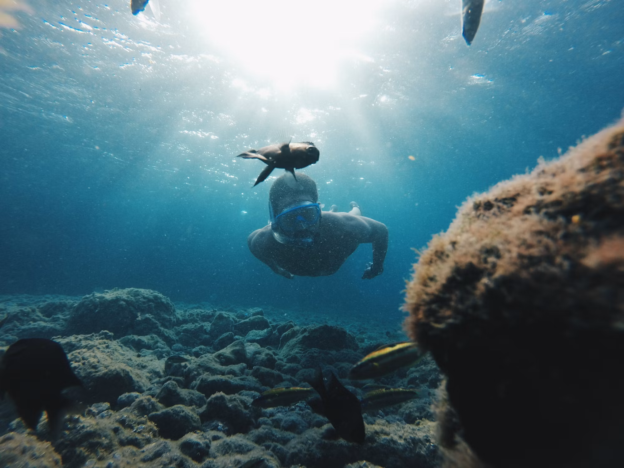 Diving into Adventure: A Deep Dive into Underwater Exploration